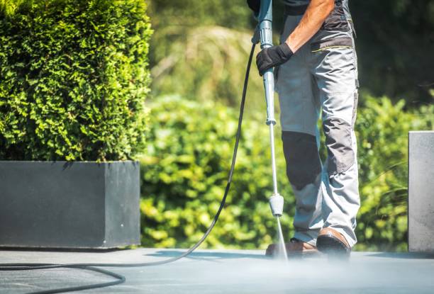 Best Gutter Cleaning and Brightening in Fredonia, WI