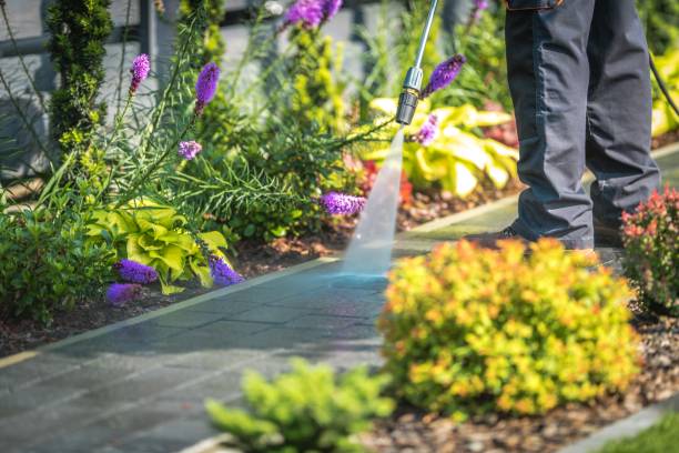 Best Commercial Pressure Washing in Fredonia, WI
